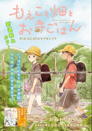 もえこと畑とお寺ごはん Raw Free