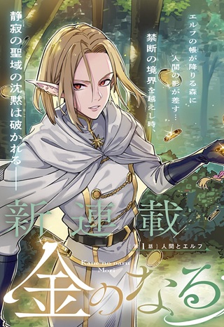 金のなる森 Raw Free